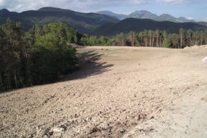 Transformació a pastures a una finca ecològica